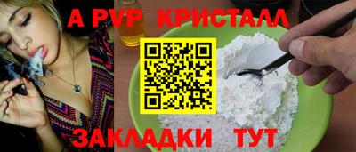 гидра Вязьма