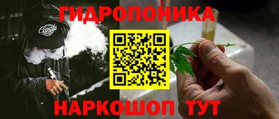 хмурый Гудермес