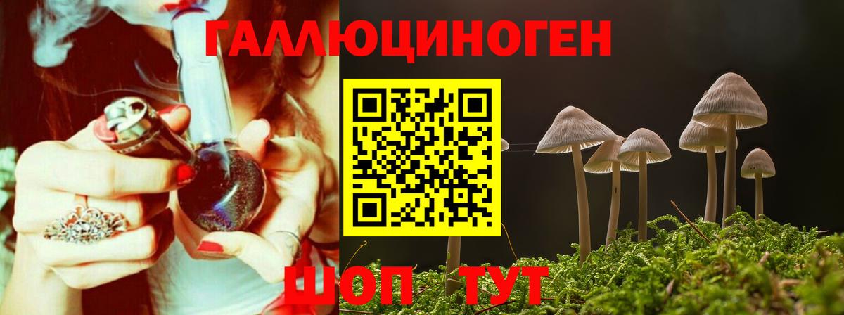Галлюциногенные грибы Cubensis  Псилоцибиновые грибы MAGIC MUSHROOMS  Вход с VPN  Балашиха 